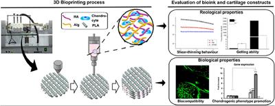 3D-Printed Hydrogels in Orthopedics: Developments, Limitations, and Perspectives